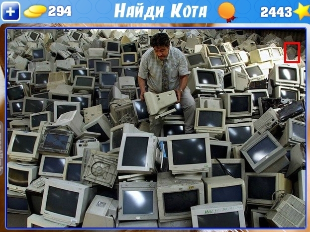 текст при наведении