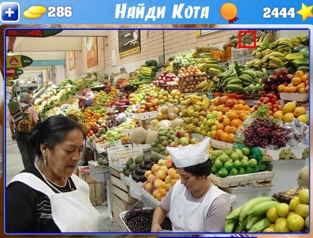 текст при наведении